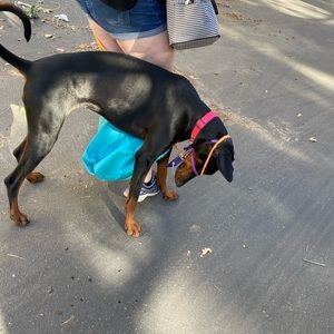 Meet your Posher, Melissa